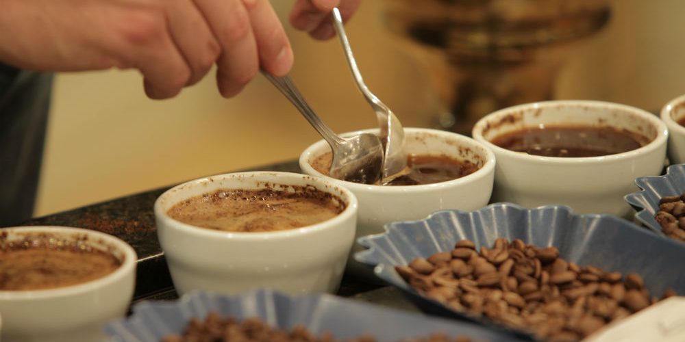 Removing the Grounds Cupping - Removing the Grounds